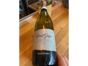 Pinot grigio dell's venezia